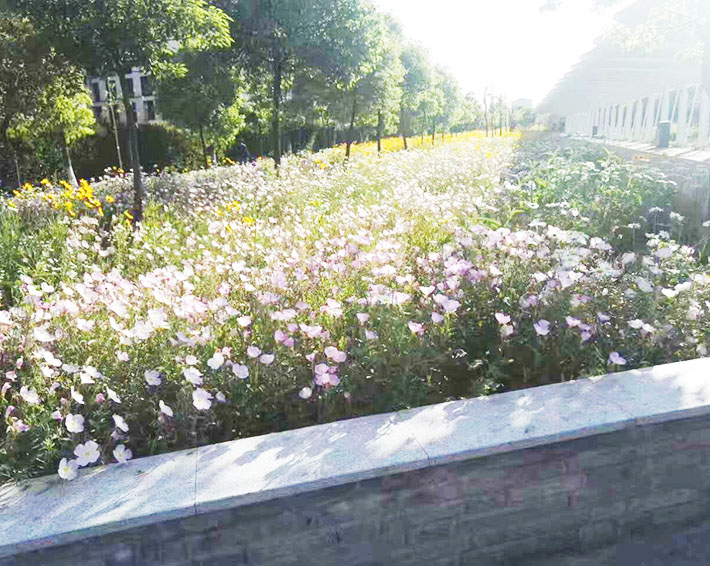 園林綠化的這些好處，你知道嗎？